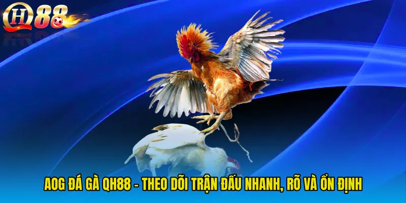 AOG Đá Gà QH88 - Theo Dõi Trận Đấu Nhanh, Rõ Và Ổn Định