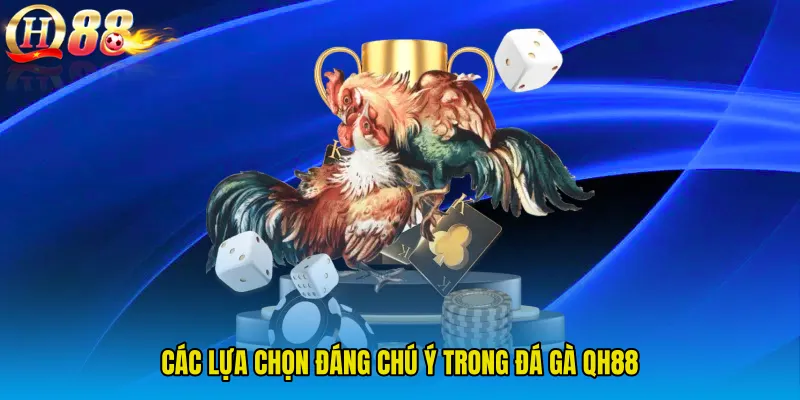 Các lựa chọn đáng chú ý trong Đá Gà QH88
