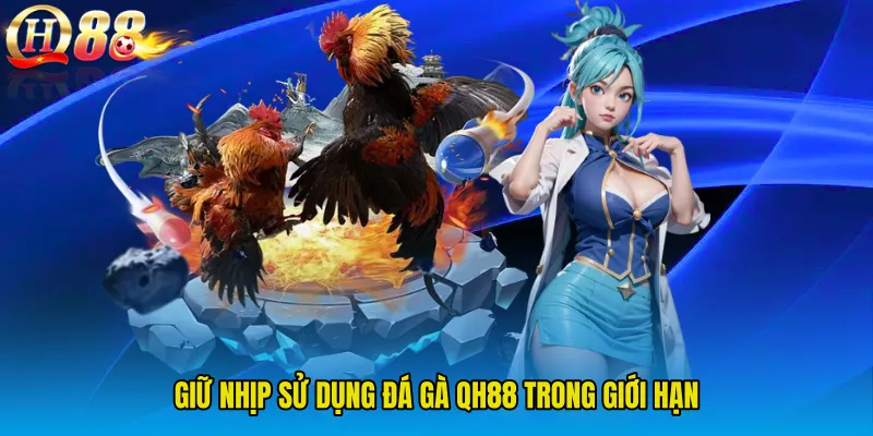Giữ nhịp sử dụng Đá Gà QH88 trong giới hạn