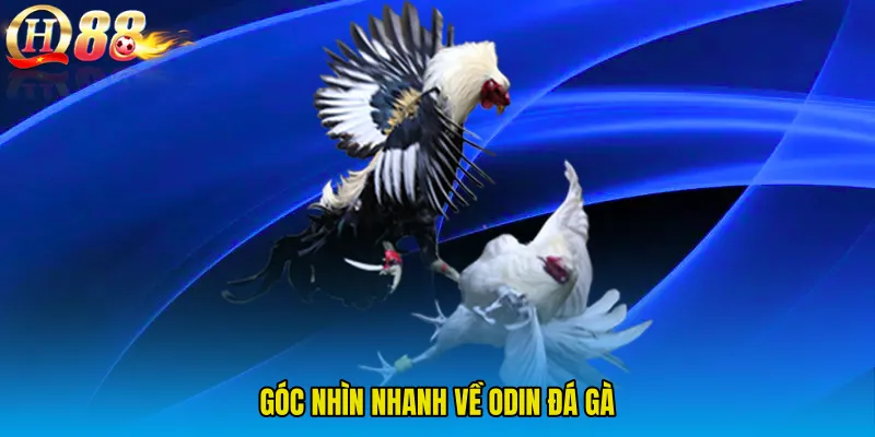 Góc nhìn nhanh về ODIN Đá Gà
