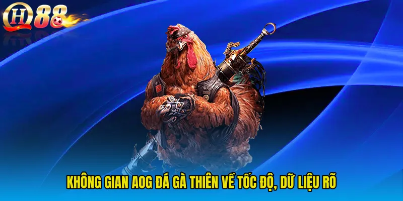 Không gian AOG Đá Gà thiên về tốc độ, dữ liệu rõ