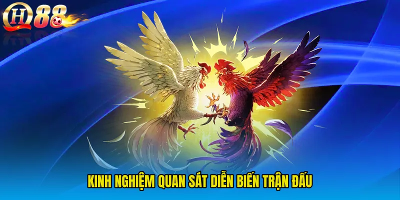 Kinh nghiệm quan sát diễn biến trận đấu