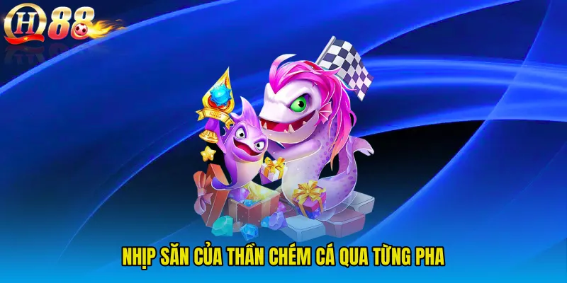 Nhịp săn của Thần Chém Cá qua từng pha