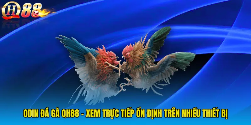 ODIN Đá Gà QH88 - Xem Trực Tiếp Ổn Định Trên Nhiều Thiết Bị