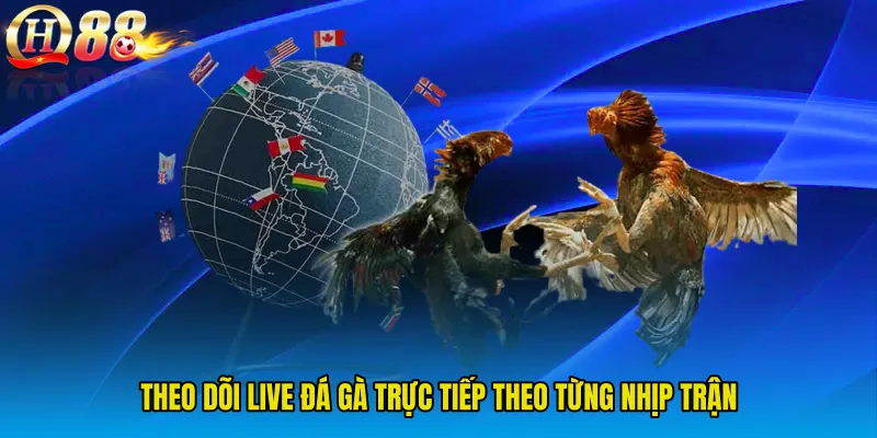 Theo dõi Live đá gà trực tiếp theo từng nhịp trận