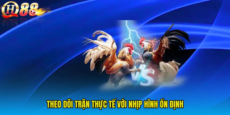 Theo dõi trận thực tế với nhịp hình ổn định
